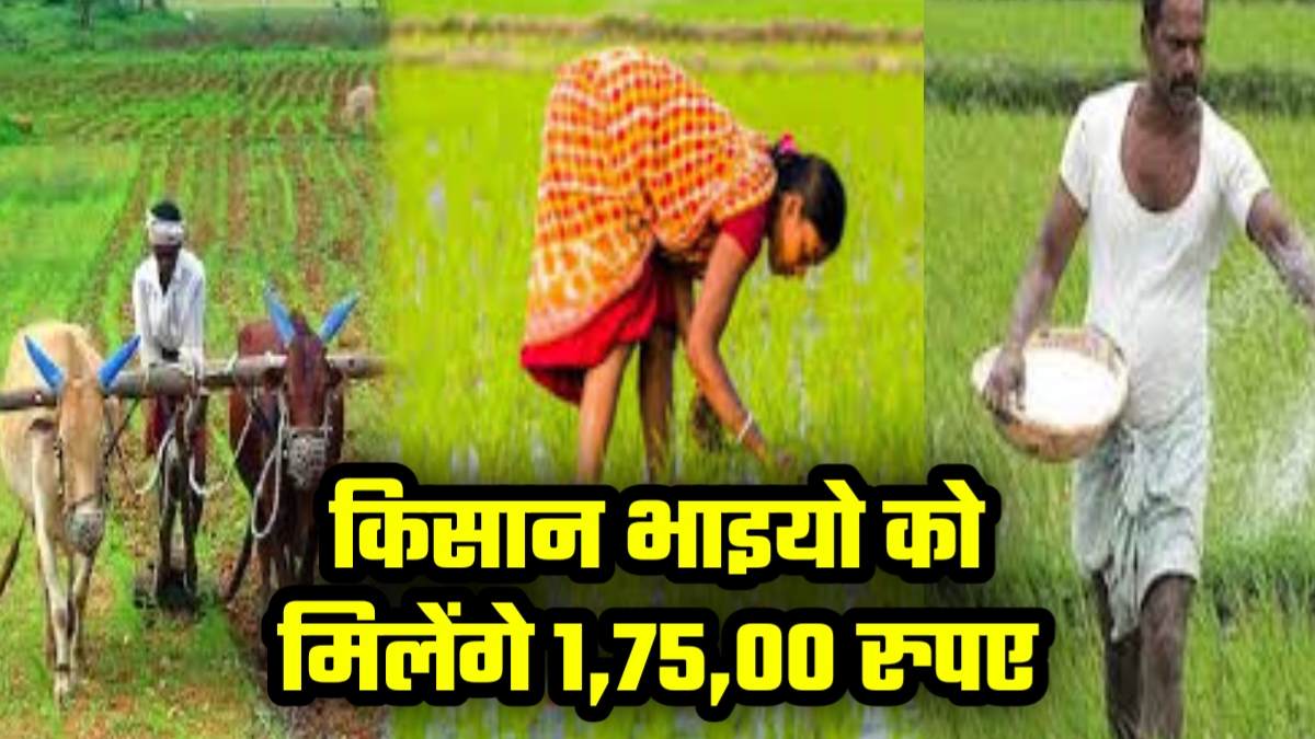 Kisan Credit Card Yojana ko Milenge 175000 Rupay